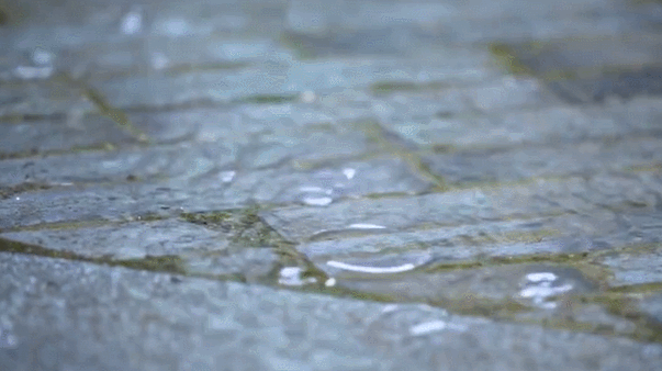 2020荔枝高校大会 | 同学，东南大学“会唱歌的录取通知书”升级版到了