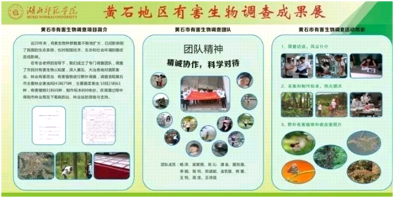 就业率98%、一大批学生考研清华！报考湖北这所大学，前景广阔