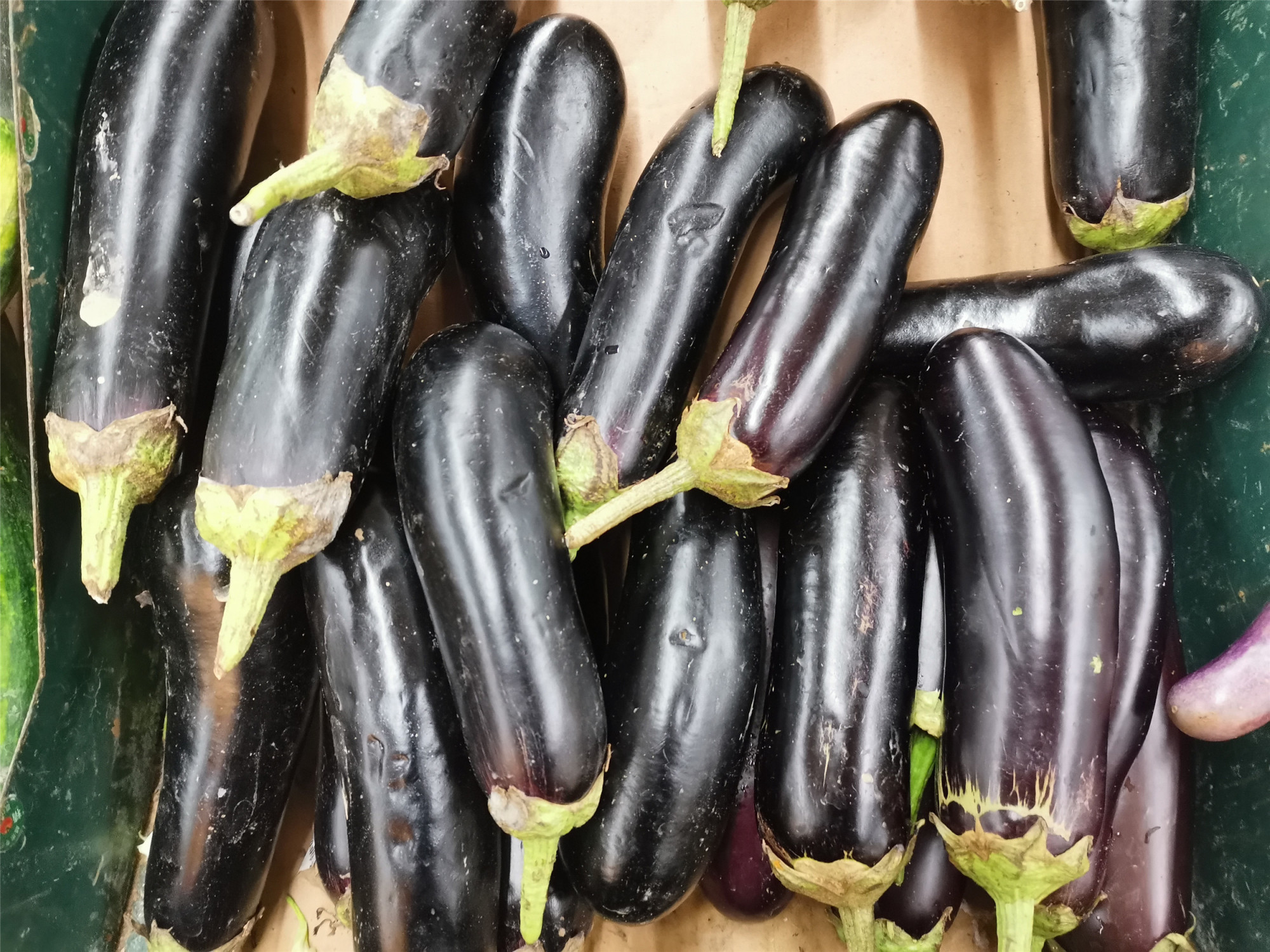 买茄子，圆茄子好还是长茄子好？不同品种不同做法，别搞错了