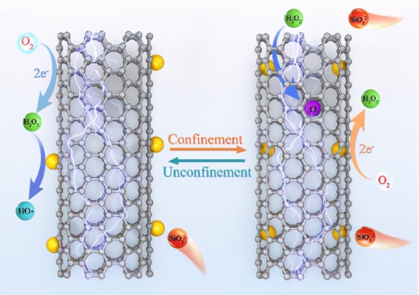 抗癌、碳中和、太赫兹，最近，东华大学9项科研成果引起国际关注！