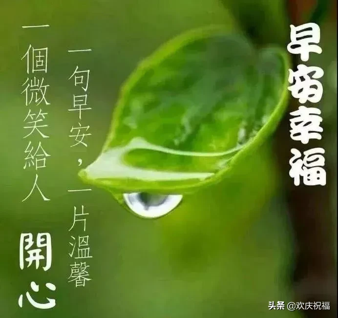 摔跤了不要哭，爬起来站直一笑，拍拍身上的尘灰，继续奔跑，早安