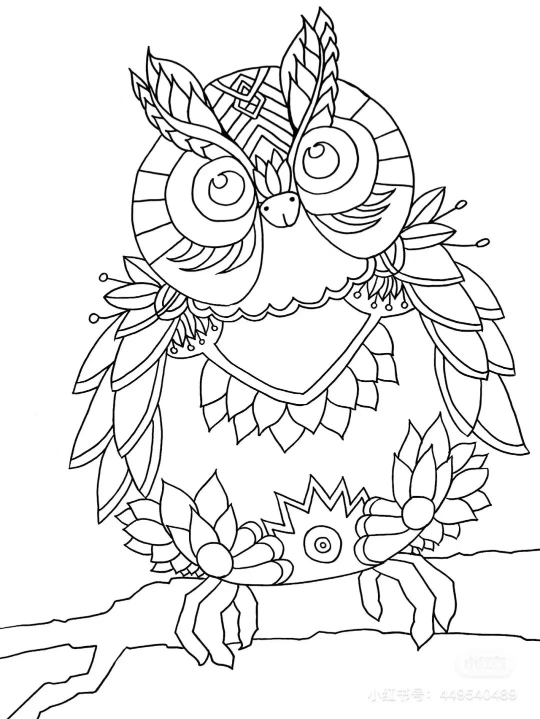 黑白盆栽,画的非常细致到位线条很流畅,很考验小朋友的专注力跟忍耐度