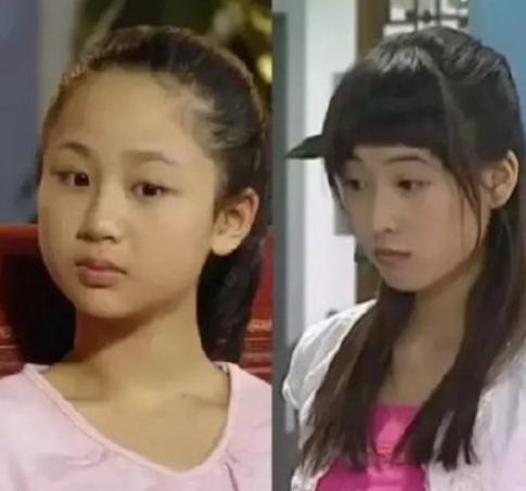 《家有儿女》夏雪宁丹琳，为何会落得今天这个下场？