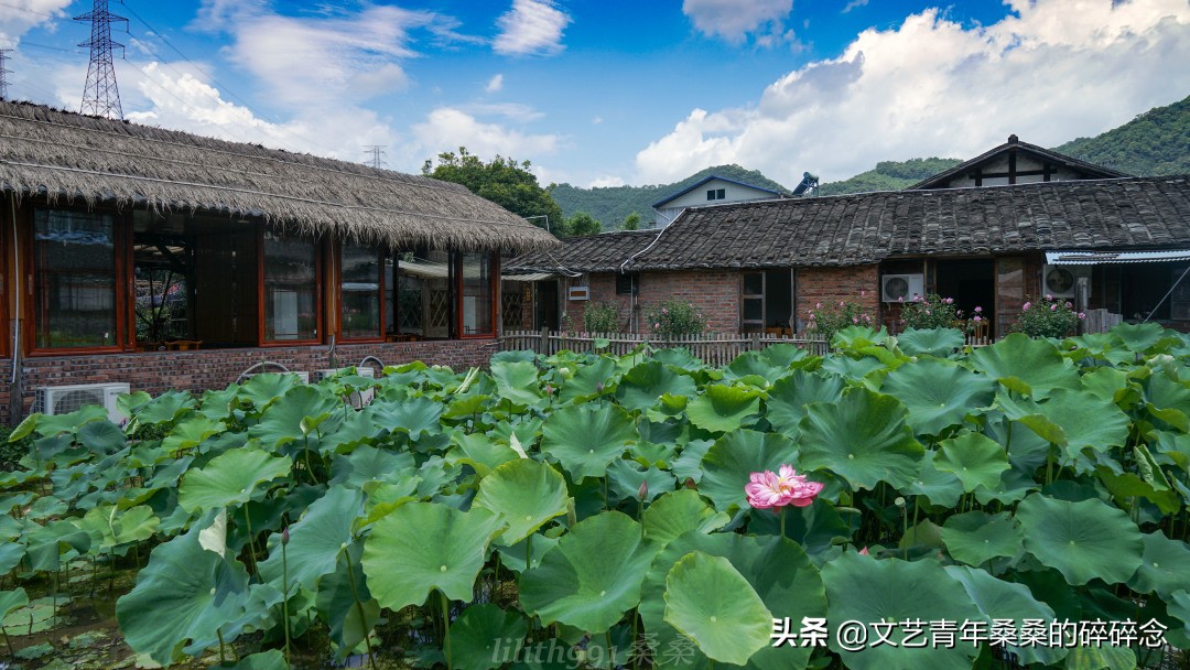 古村落、原始森林、火山岩，宝藏旅行地福建三明两日一夜打卡记