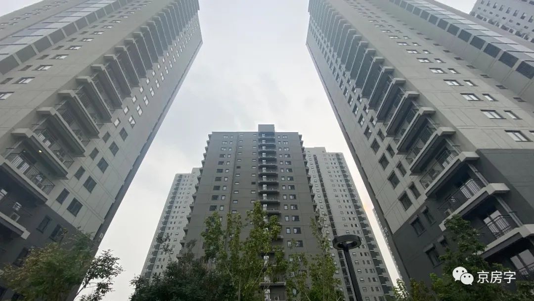 北京单独二胎新政策,北京单独二胎政策什么时候开始实行的