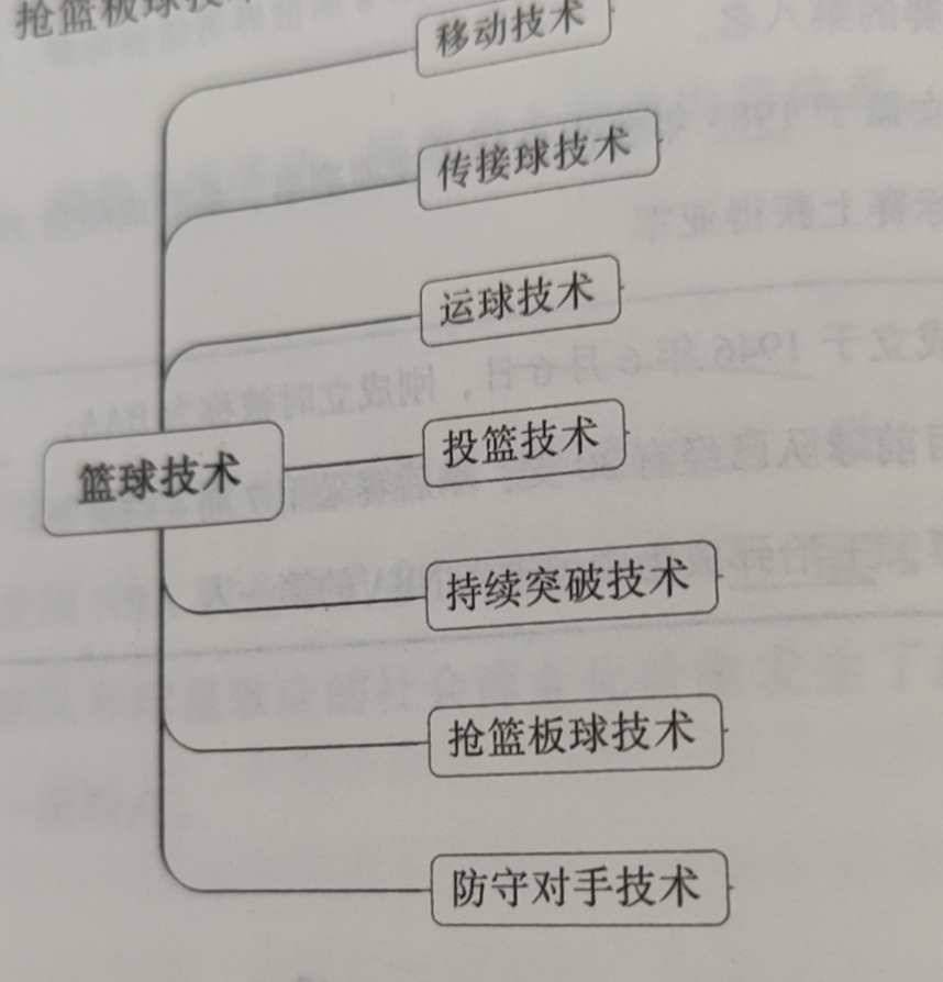 篮球比赛中有多少种时间比例(硬核科普~  篮球运动的主要技术、战术)