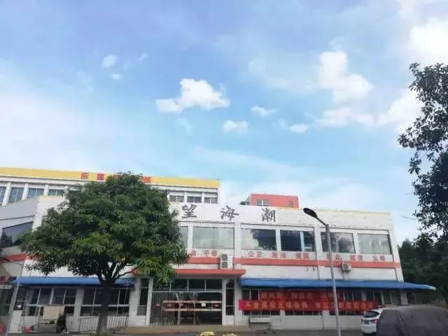 高职高考必看｜全面了解江门职业技术学院