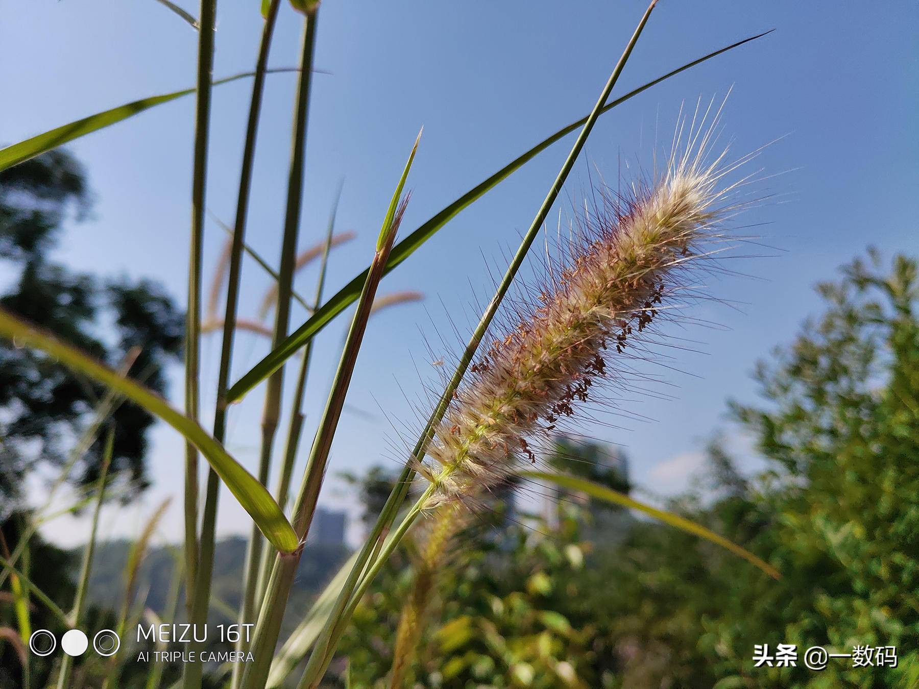 魅族16T轻体验：大屏娱乐旗舰的倔强