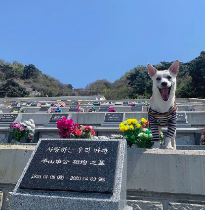 节目中让lisa洗脚(韩前女团成员自曝遭队友霸凌！受欺负长达10年，晒割腕照触目惊心)