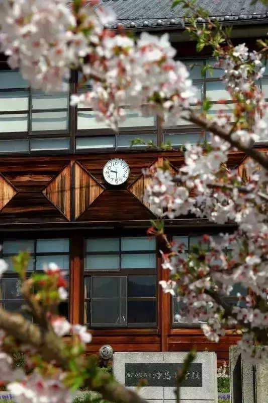 日本孤岛上的公立学校，仅11名学生，却告诉我们什么是真正的教育