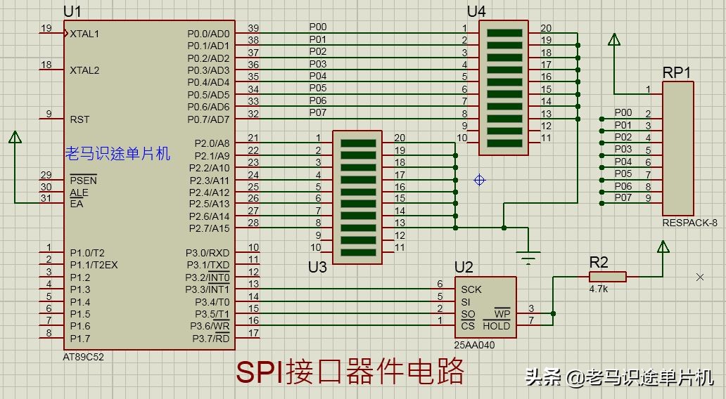 proteus怎么读（proteus 怎么读）-第1张图片-科灵网