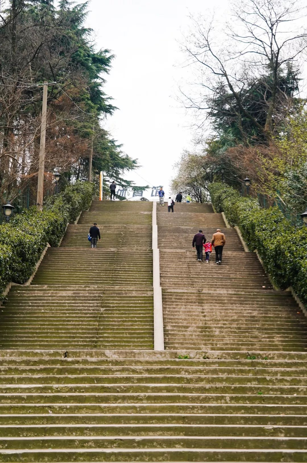 五台山体育馆图片