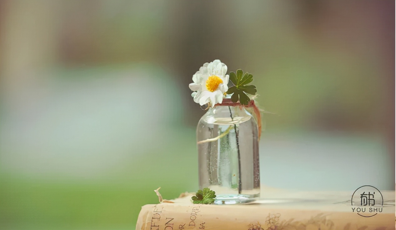 国学大师翟鸿燊语录(如何让人生更精彩)