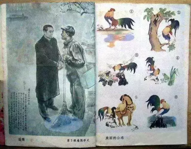 80后的小学课本，一代人的回忆