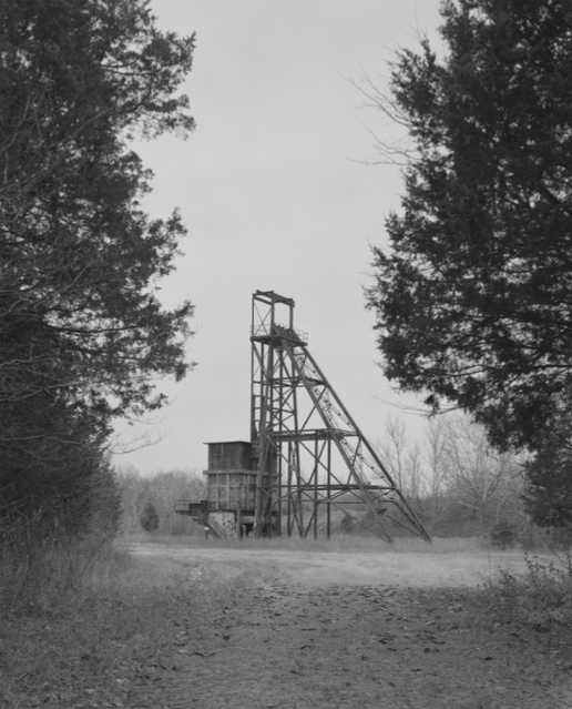 山茱萸与杜鹃-《斯里兰卡50州》背后的故事之九（第二季完结）