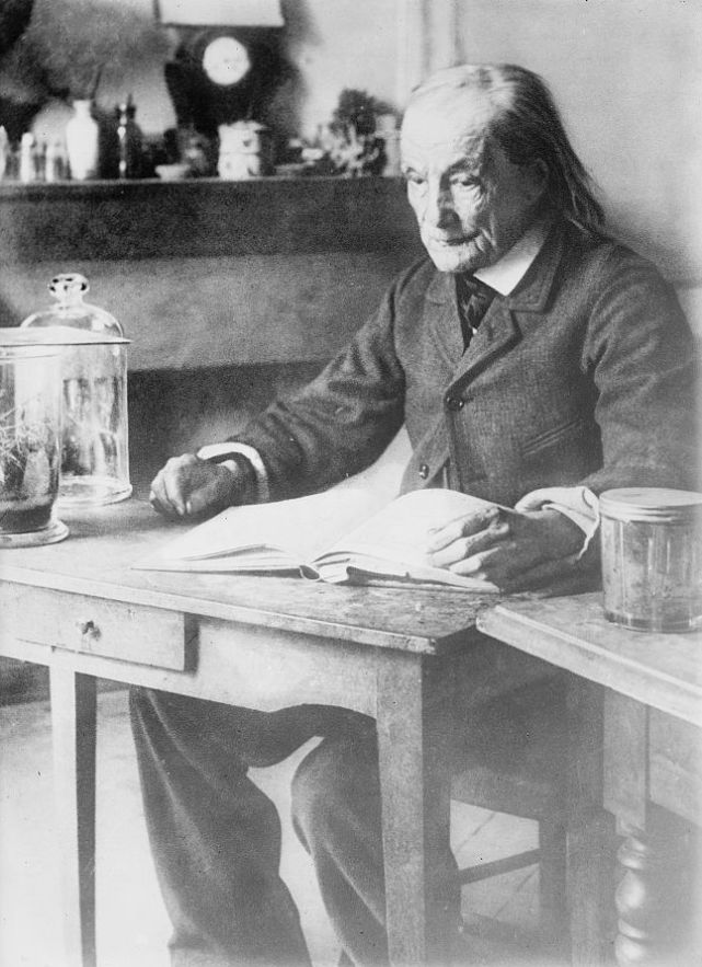 法布尔的资料 法布尔资料20字-大连号