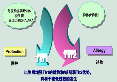 益生菌吃了没用？那是因为你没吃对！婴幼儿不同菌株作用各不同