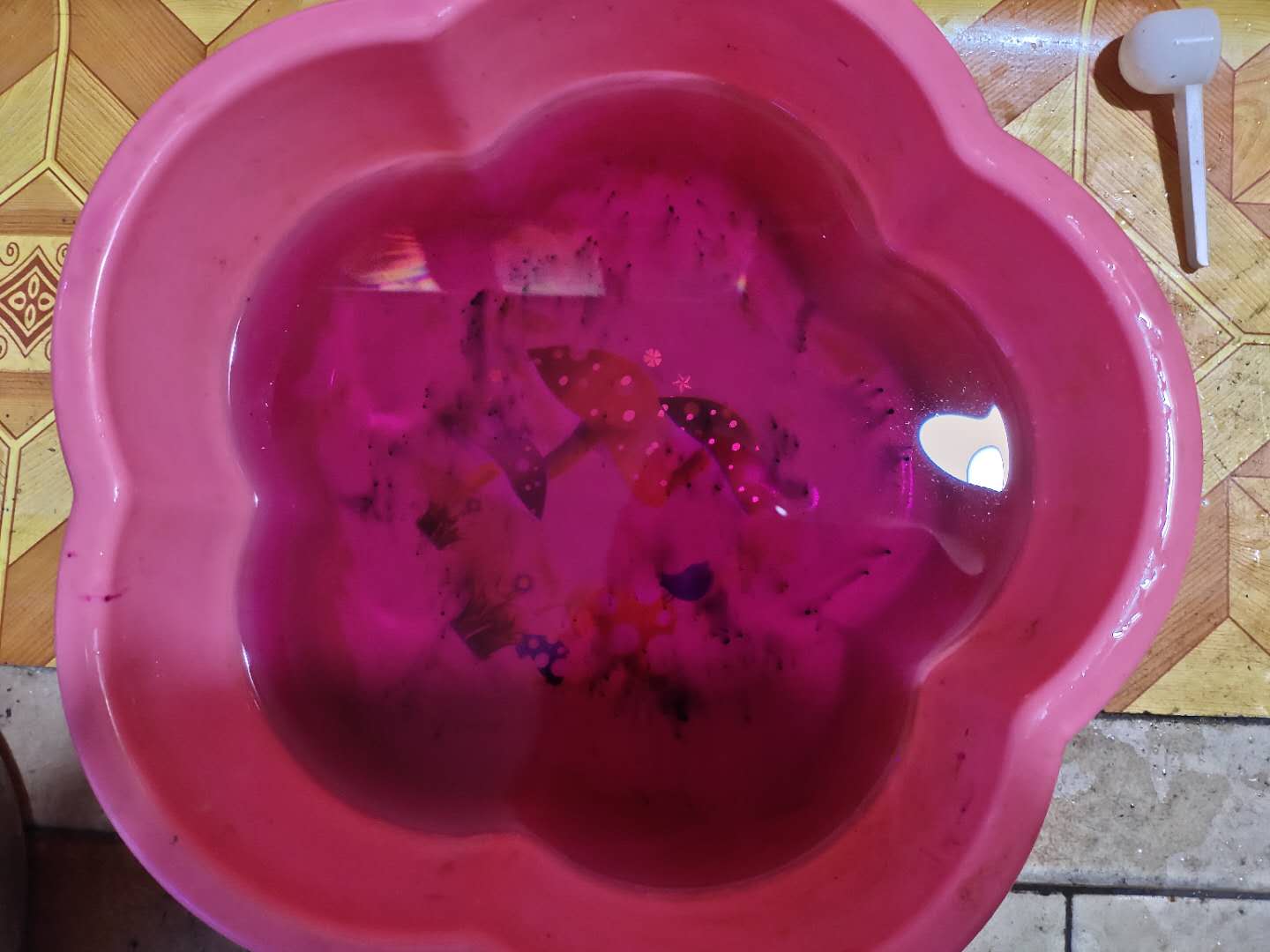 蛋白虫等虽然说高锰酸钾现在基本买不到,但是很多鱼店里会有水族专用
