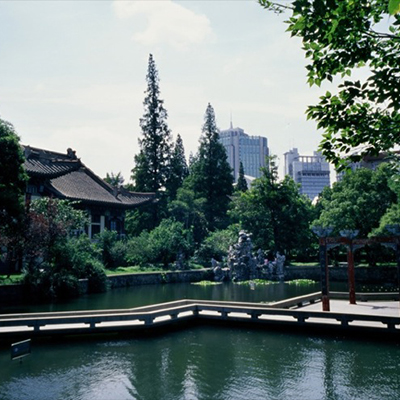 南师大行政管理专业排名多少？就业前景如何？是热门专业吗？