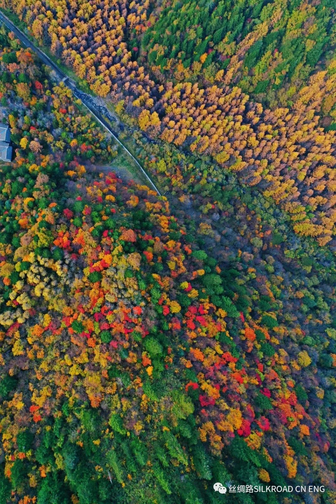 羊茸哈德村海拔多少 -生活知识库-donow知识库