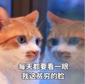 电脑培训机构（培训机构不告诉你的6个自学网站）