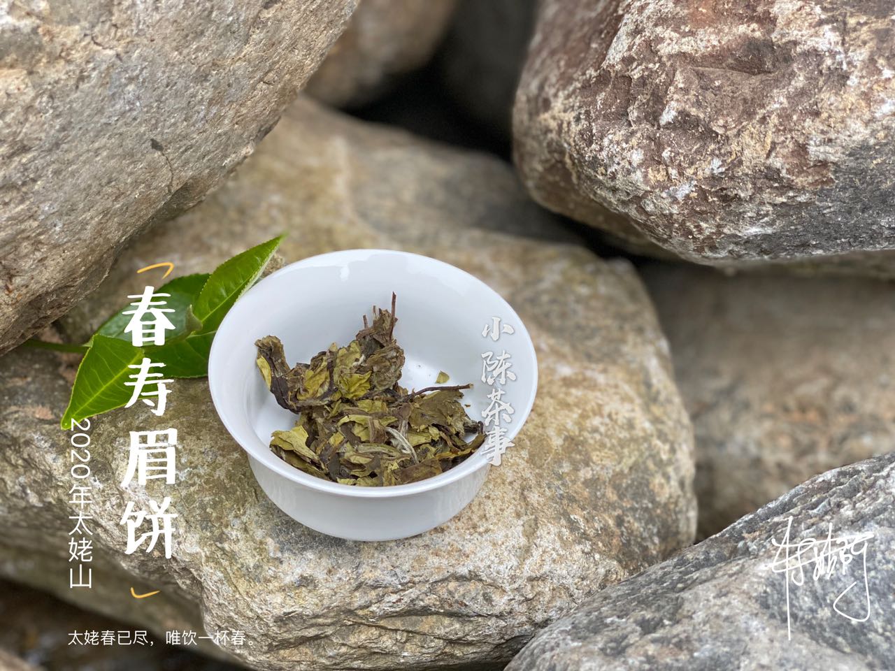 撬白茶饼的错误方法，老虎钳我忍了，微波炉加热是什么操作？