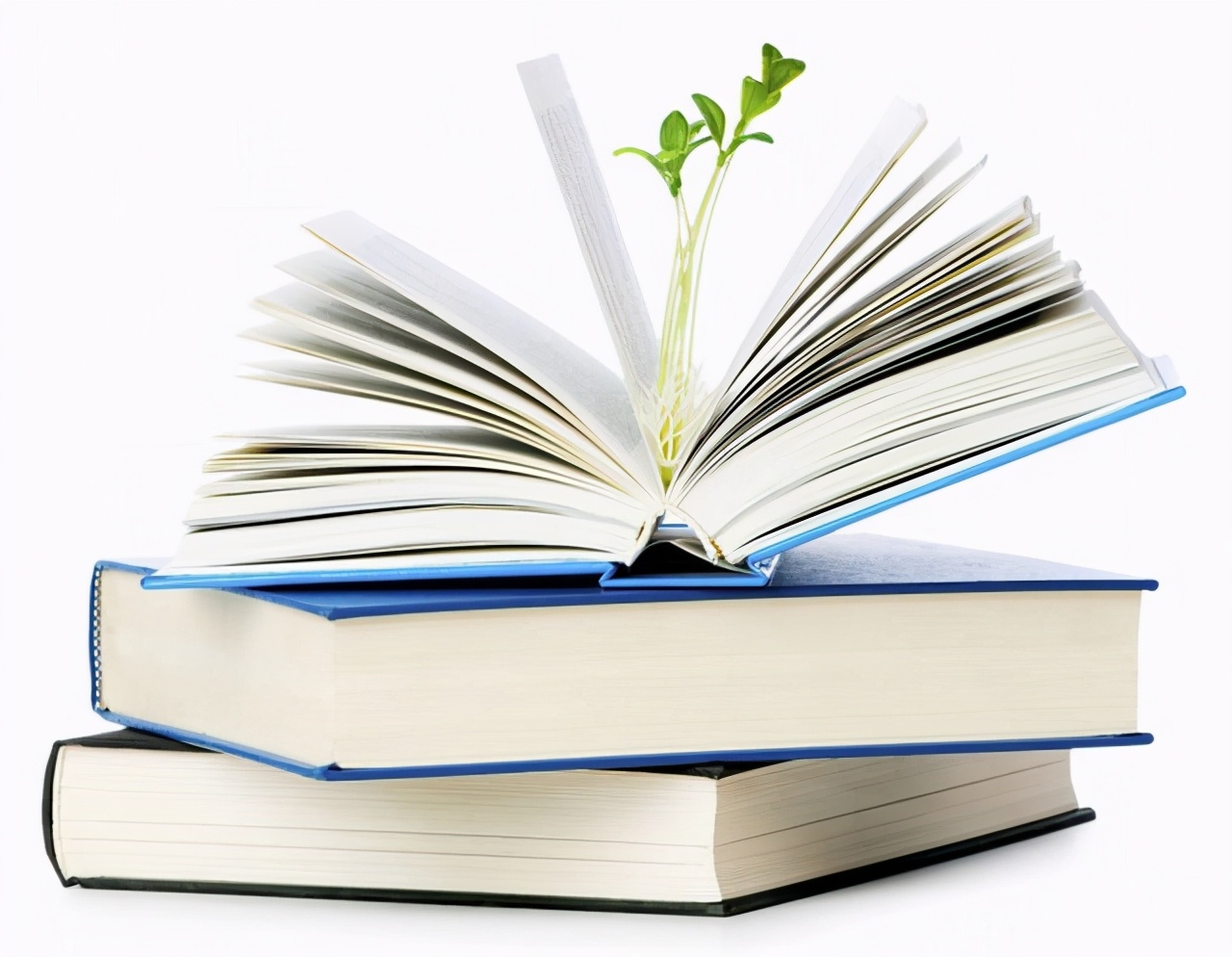 缪斯女神为我打开了创作之门——我与写作的故事