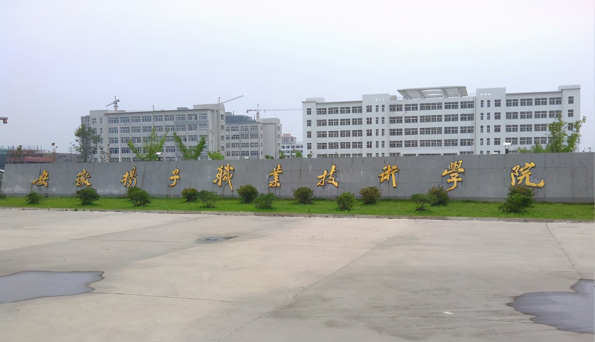 安徽省芜湖市—高校信息