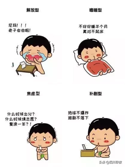 普通高等学校是大学吗（高考结束职高和高职分不清）