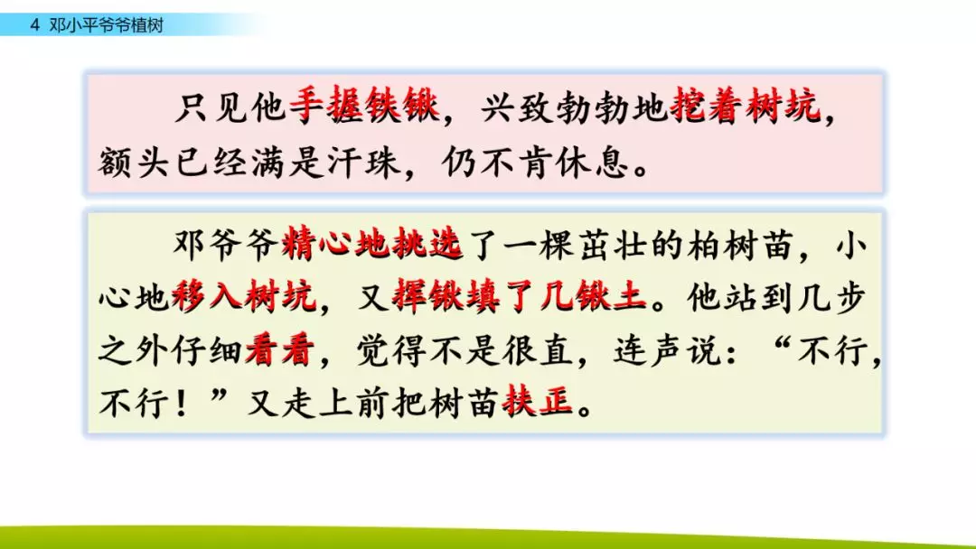 邓的词语（观的词语）-第31张图片-科灵网