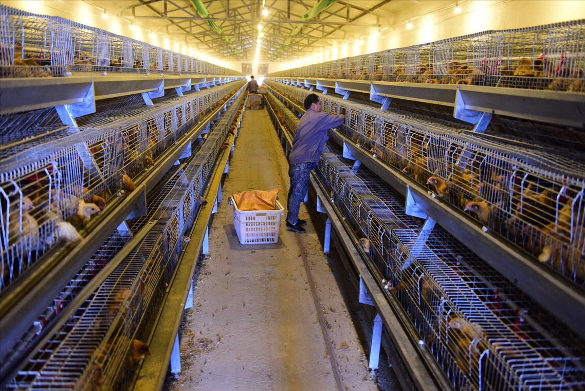 养殖场拆迁律师（养殖场）