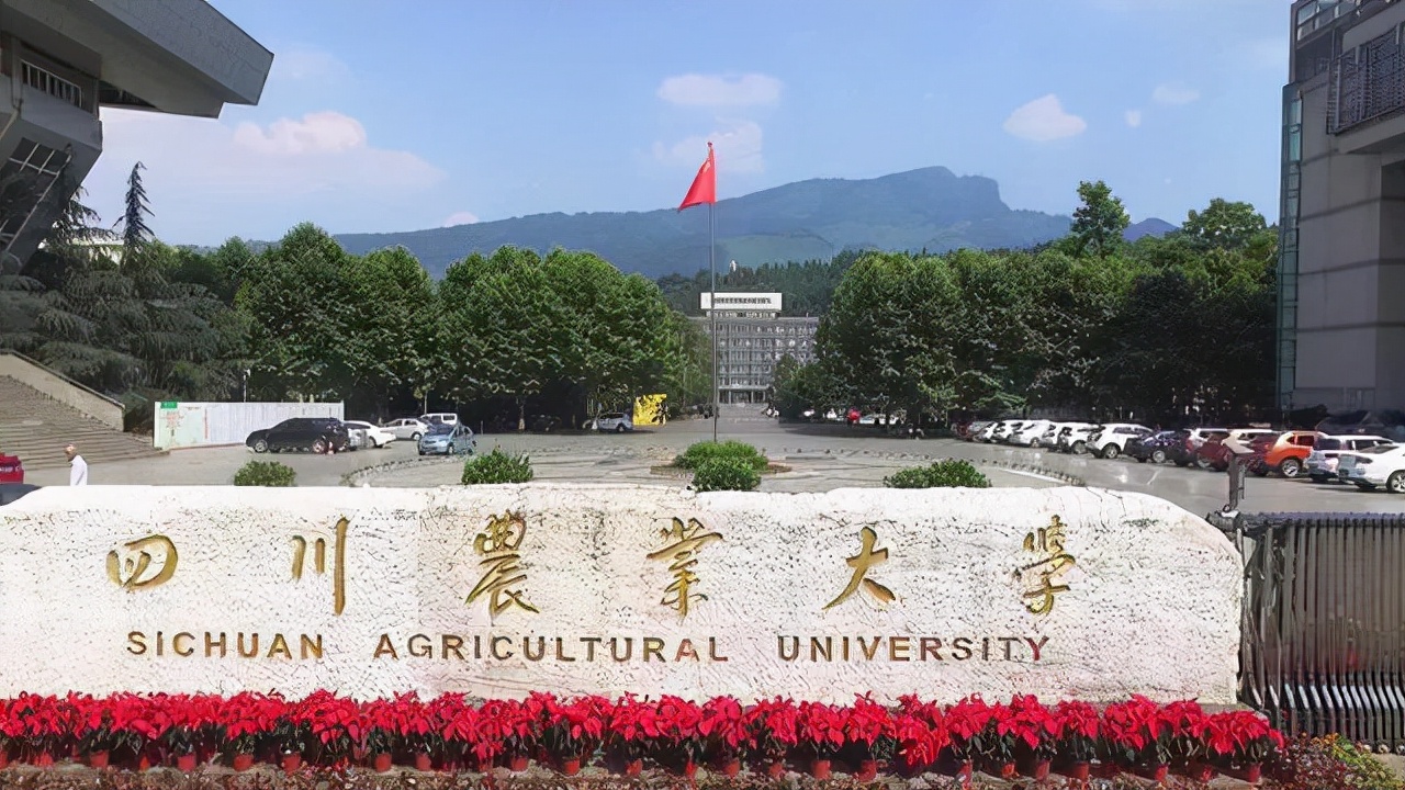 四川农业大学自考「四川农业大学自考动物医学」