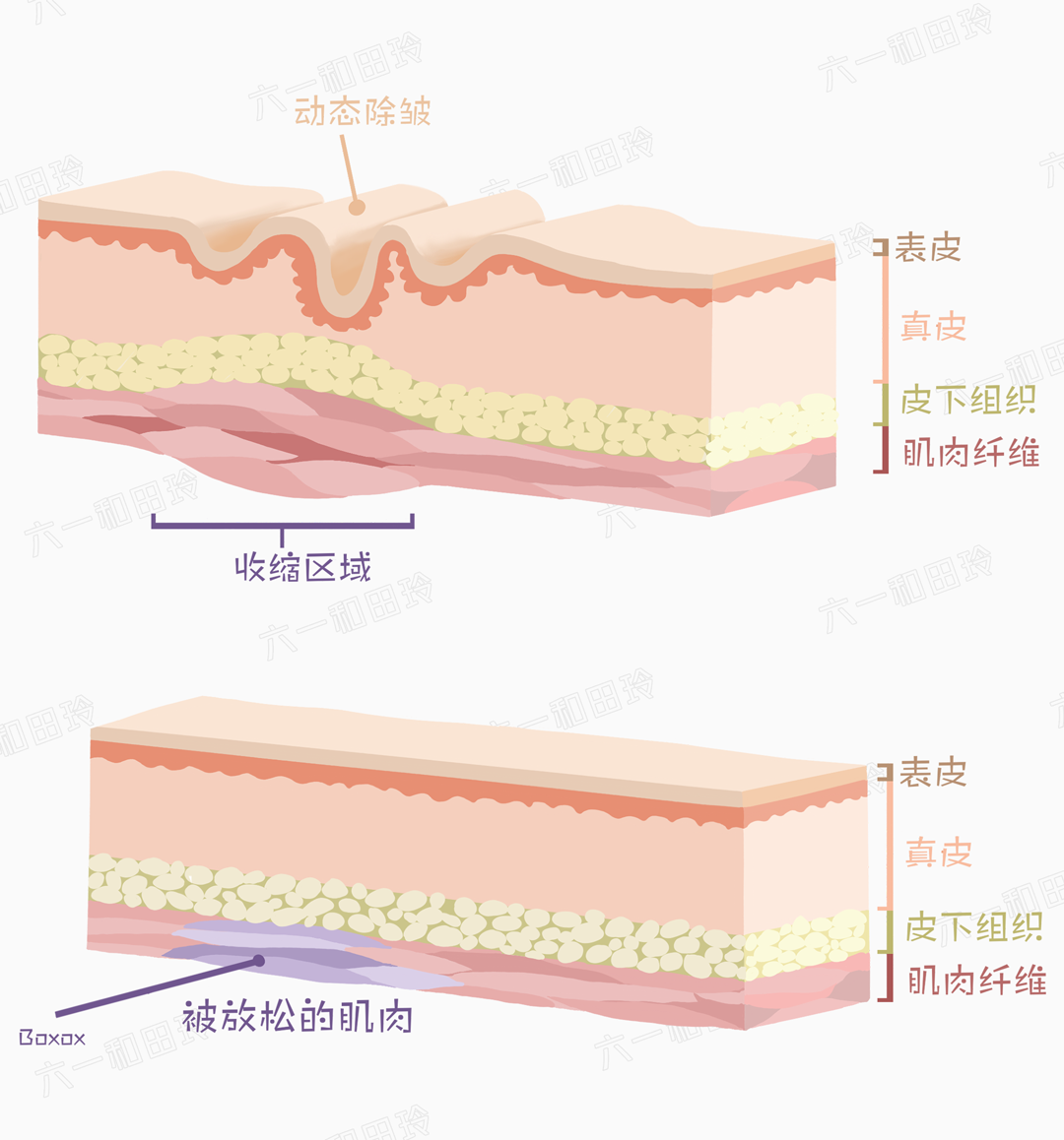 额头眼周的大皱纹和小细纹怎么办？