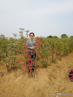 桐花万里丹山路，雏凤清于老凤声——湖北随州一中生物学科组团队