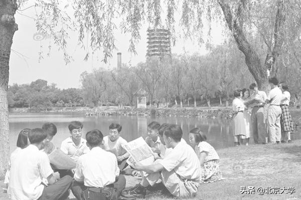 “元培”计划和“博雅”教育的由来——北大七十年教育教学探索之路