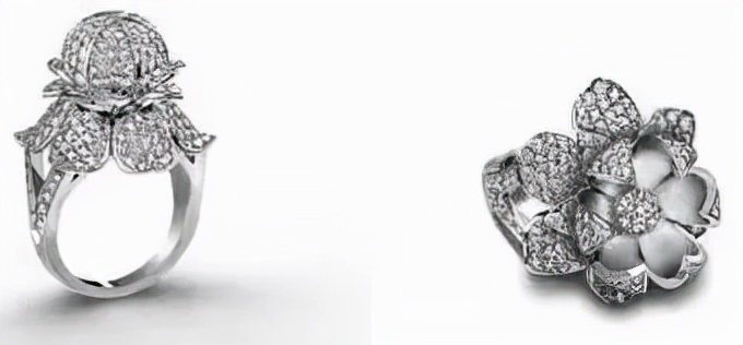 《沙丘》看完了，但这些指间的“隐秘”你真看懂了吗？