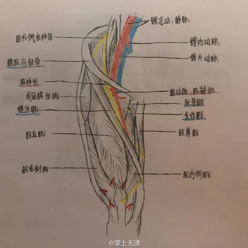 天津医科大学，你可真行