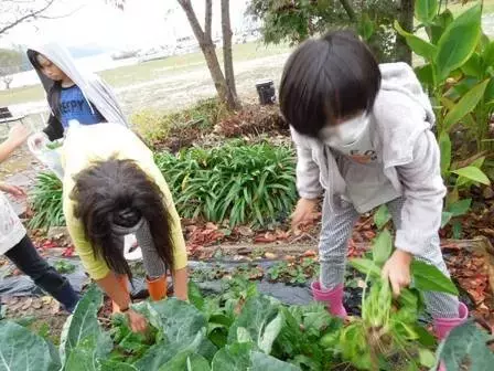 日本孤岛上的公立学校，仅11名学生，却告诉我们什么是真正的教育