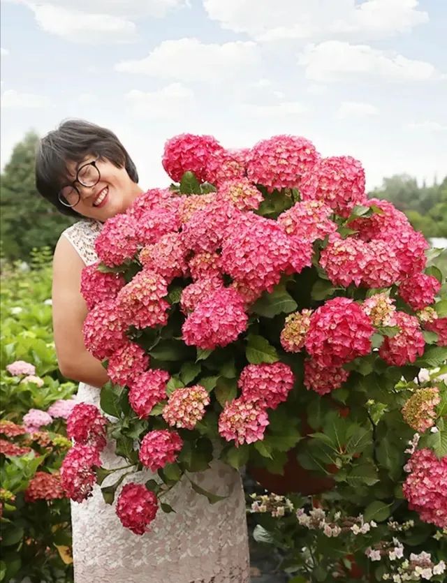 种花12年，她为女儿打造2000平“童话世界”，137万人跟她看春天