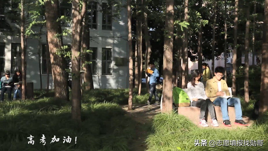 理科多少分能上985大学？考生谨记：分数才是选择的唯一标准