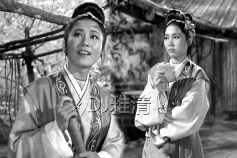 7位演过双胞胎的演员，为何说王晓棠演得最好，张良次之？
