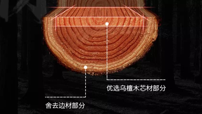 餐厨好物大赏！吃饱、吃好、吃光光