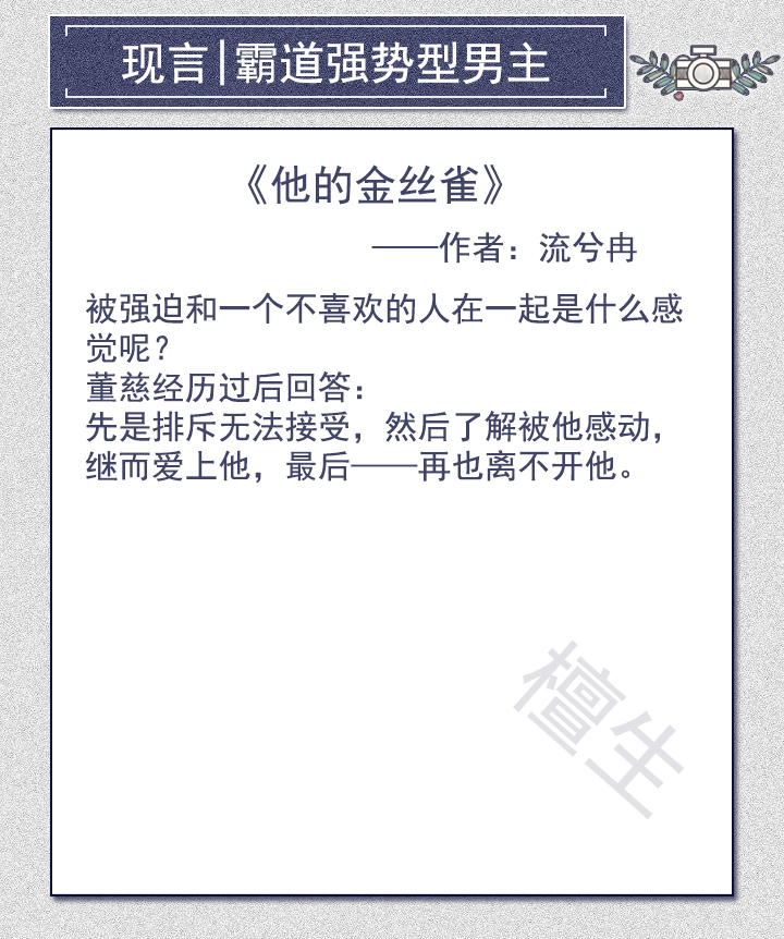 总裁开始显露状态了(推文：男主看似儒雅斯文，实则霸道强势。待女主察觉已经为时晚矣)