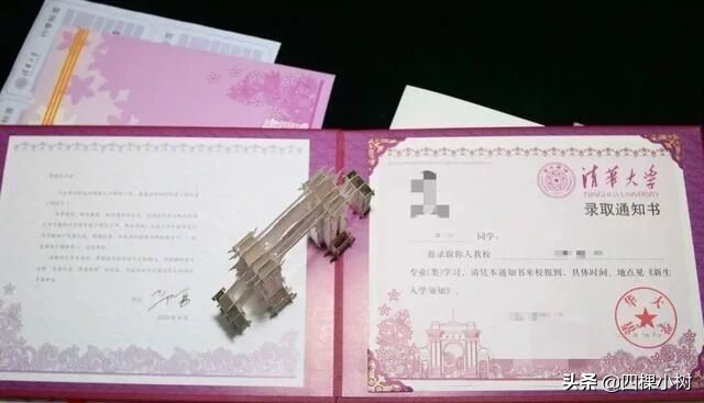 这是不是偏科惹的祸？江苏淮安高考文科状元白湘菱无缘清华北大