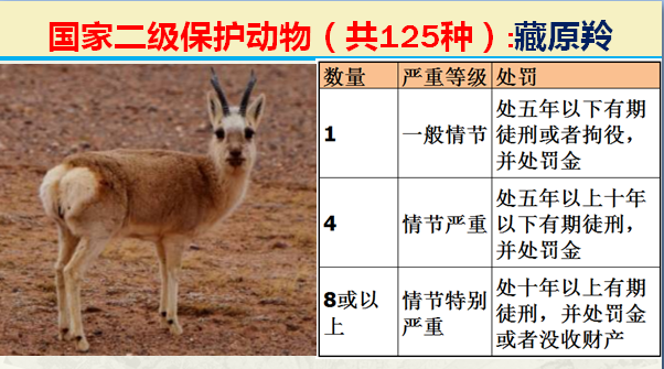 国家保护动物分几个等级（125类二级野生保护名录）