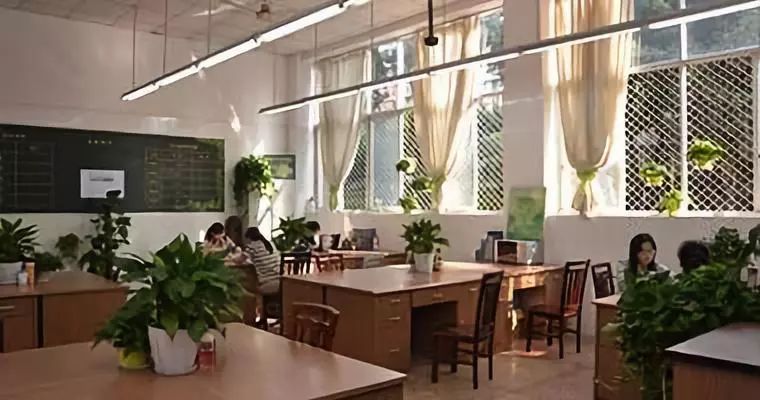 名校一点通——八中各分校，一次性让你了解更透彻