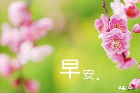 早安心语：只有真心真意，才能不离不弃