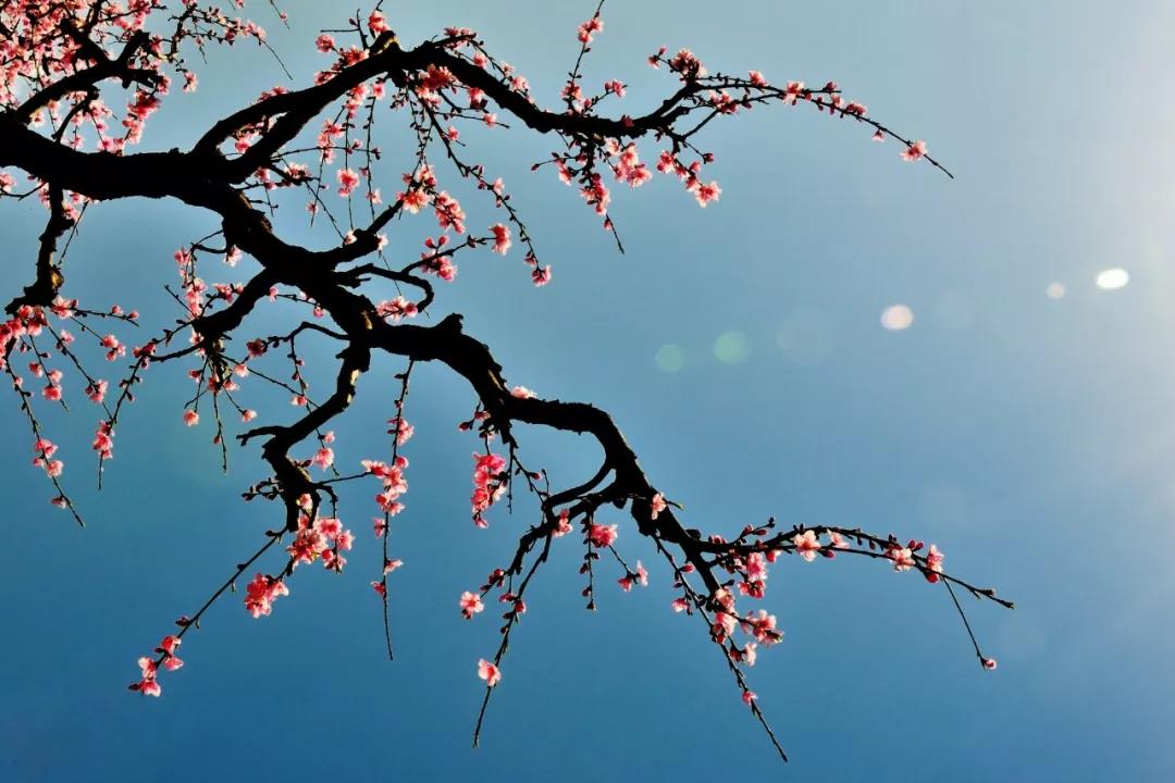 《四书五经》名句50条，修身齐家治国平天下