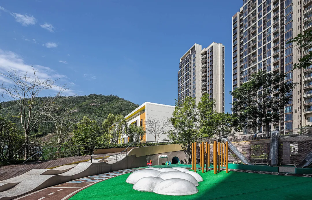 汇聚人大、深中、明德等多所名校，深圳新兴教育强区正在崛起