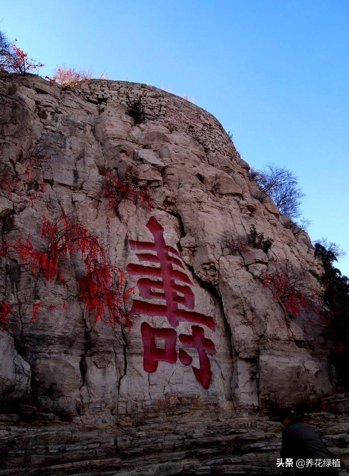 福如东海是什么（福如东海是什么意思）-悠嘻资讯网